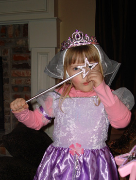 anna-negotiator-wp anna-negotiator-wp