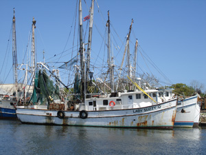shrimp-boat-wp6